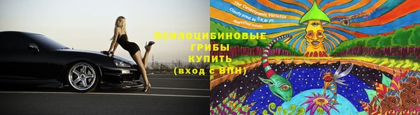 шишки Беломорск
