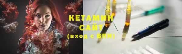 шишки Беломорск