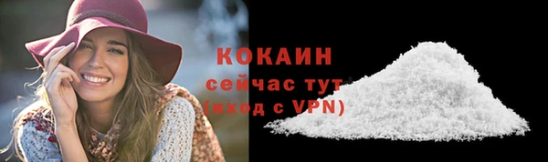 шишки Беломорск