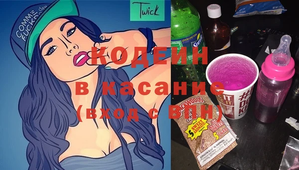 шишки Беломорск