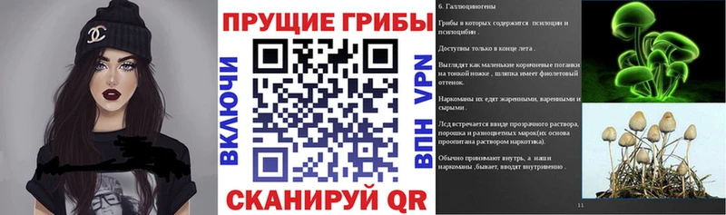 Псилоцибиновые грибы Psilocybe  где найти наркотики  Кстово 